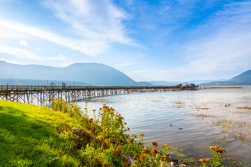 Long wooden pier stretching into shuswap lake in salmon arm, british columbia