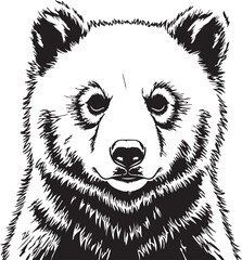 Black and white bear portrait on transparent background vector illustration