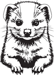 Black and white civet wild animal mammal illustration vector art pet