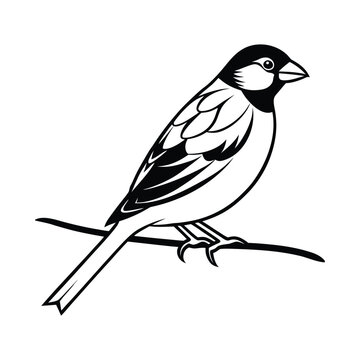 finch bird silhouette