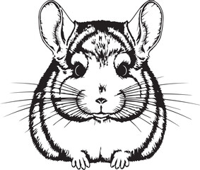 Chinchilla vector graphic illustration animal pet small cute fluffy rodent art