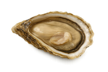 Fresh oyster half shell ready for consumption, showing raw seafood delicacy with transparent background