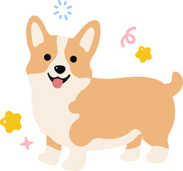 Cute corgi