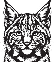 Detailed black and white portrait of bobcat head on transparent background
