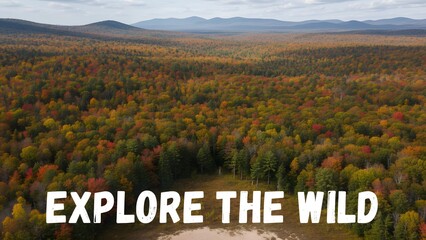 Expansive Autumn Forest Landscape with Mountain View.