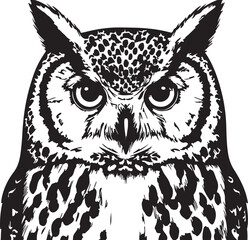 Intense great horned owl stare detailed black and white illustration transparent background