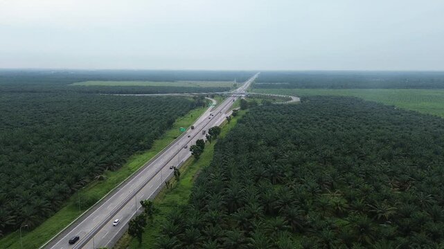 Aerial view of toll roads in Indonesia from drone footage, toll roads surrounded by oil palm plantations