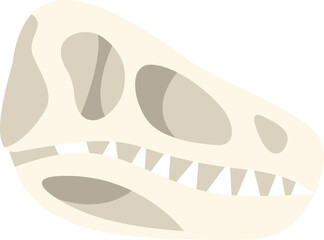 Side view of a dinosaur skull fossil isolated on white background, showing sharp teeth, eye sockets and nasal openings