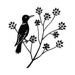 red bellied woodpecker silhouette 