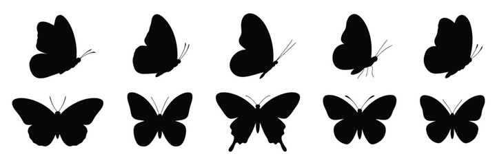 Flying butterflies black silhouette set isolated on white background, detailed vector art collection symbolizing beauty, movement, © welcome