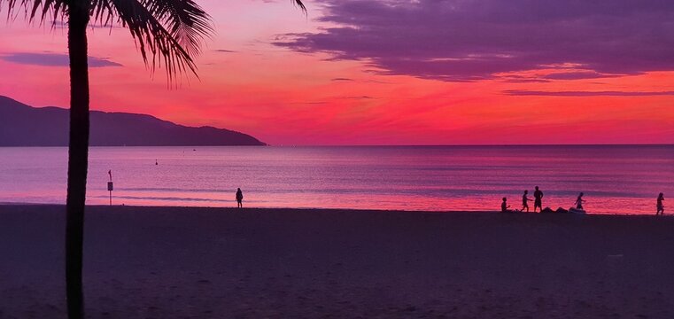 Tropical beach sunset with palm tree silhouette and purple sky over sea, people walking on sand at dusk, vibrant ocean coast landscape, summer vacation and travel concept