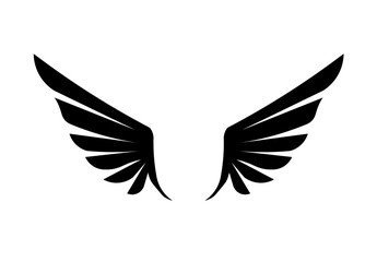 dove with wings