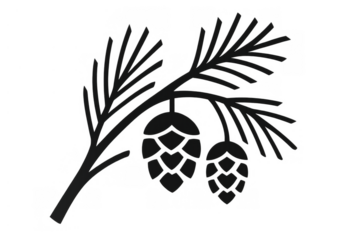 Pine tree branch featuring two pinecones, illustrated as a simple black silhouette on a transparent background for various uses