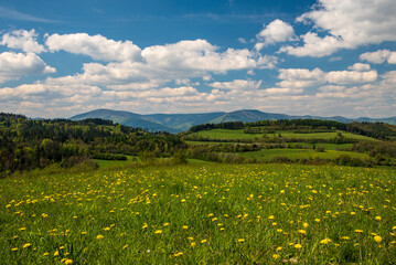 Moravskoslezske Beskydy mountains from meadow above Leszna Gorna village in Poland