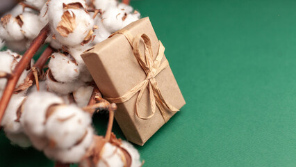 Gift box wrapped in brown paper with twine, placed beside cotton branches on a green background,...