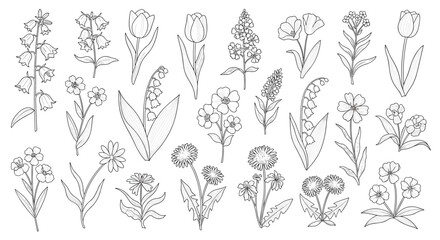 Fototapeta premium A large botanical set of various hand-drawn wildflowers and garden flowers in a detailed black and white dotwork line art style.