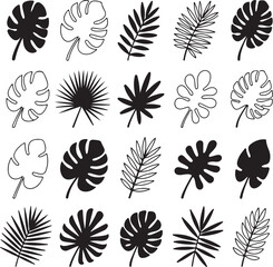 Monstera & Palm Outline Set