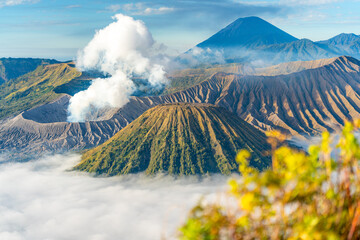 Mount Bromo volcano erupts with smoke and ash over a sea of clouds