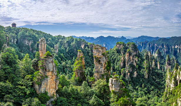 Scenic view of quartz sandstone pillars and peaks in lush green forest in Zhangjiajie.