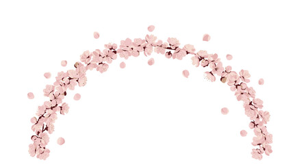 Obraz premium An elegant and delicate arch made of soft pink cherry blossoms with gently falling petals, isolated on a white background.