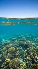 Fototapeta premium Serene underwater world with a coral reef and blue sky above.