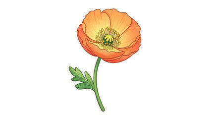 Vibrant Orange Poppy Flower with Green Stem and Leaf.