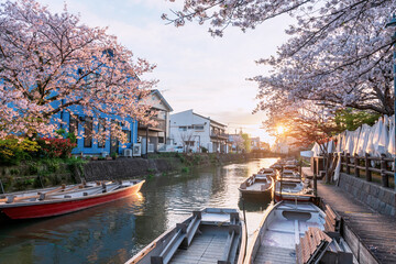 Punting boats and pink sakura blossom at sunset, Yanagawa, Fukuoka © Blanscape