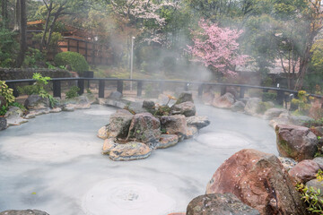 Oniishibozu Jigoku hot spring with sulfur and pink sakura blooming, Beppu