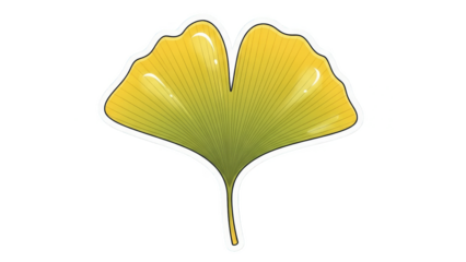 Vibrant yellow ginkgo biloba leaf isolated on a white background.
