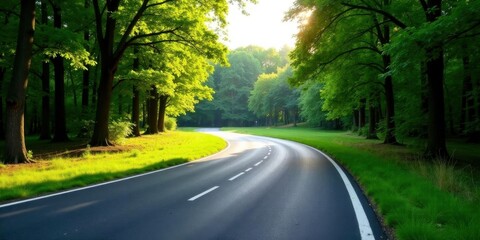 Obraz premium Serene Winding Road Through Lush Green Canopy of Trees on a Sunny Day