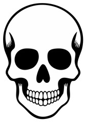 Obraz premium Monochrome Skull Illustration Depicting Bone Structure of Human Cranium