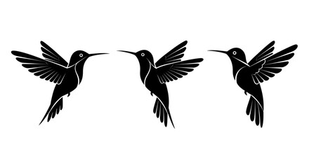 Obraz premium Three black hummingbird silhouettes in flight, elegant and graceful avian illustration.