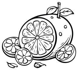 Illustration of citrus fruit: Orange with slices, leaves and stem. Black and white drawing.