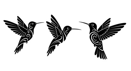 Obraz premium Three black tribal hummingbird silhouettes in flight with decorative patterns on a white background.