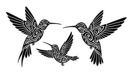 Obraz premium Three black and white hummingbirds with intricate tribal patterns, flying in different poses, isolated on a white background.