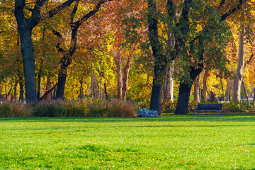 city park on a bright autumn morning, sunlight and shadows on a glade with green grass, yellow and golden autumn leaves on the trees as background, beautiful nature © soleg