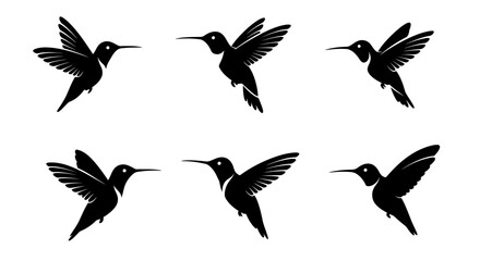 Six black hummingbird silhouettes in different flight poses, isolated on a white background, ideal for graphic design elements.