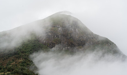 Mystical mountain summit shrouded in a thick veil of fog revealing nature's hidden beauty