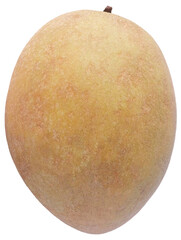 Single Whole Ripe Sapodilla Fruit, Manilkara zapota, Sawo, Isolated in Transparent Background