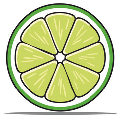 Fresh green lime fruit slice cross section cartoon vector illustration