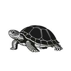 Obraz premium A detailed black and white illustration of a turtle with a patterned shell.