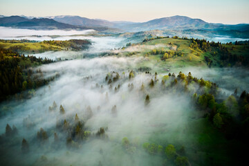 Aerial view of mist drifting over lush, green landscape. Early morning fog gently envelops trees and fields, creating soft, ethereal atmosphere under clear sky. Distant mountains rise majestically.