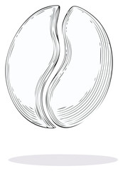 Monochrome Bean Engraving Illustration Coffee Ingredient Isolated on White
