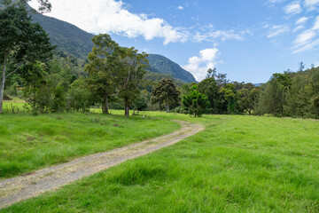 down the track