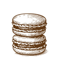 Simple hand drawn macaroon cookie sketch, engraved sweet food illustration.