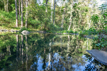mountain stream