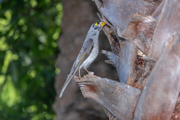 bird on tree