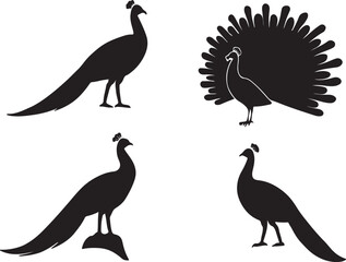 Set of Four Detailed Peacock Black Silhouettes with Displaying Tails Vector