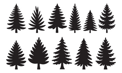 Silhouettes of evergreen trees in a forest set.