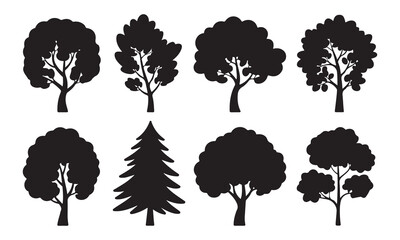 Silhouettes of evergreen trees in a forest set.